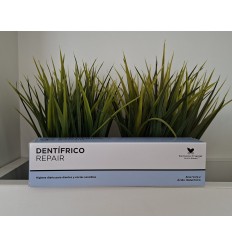 DENTRÍFICO REPAIR