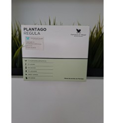 PLANTAGO REGULA